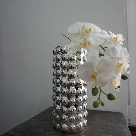 Boe21 Luxusappartement בית אירוח *